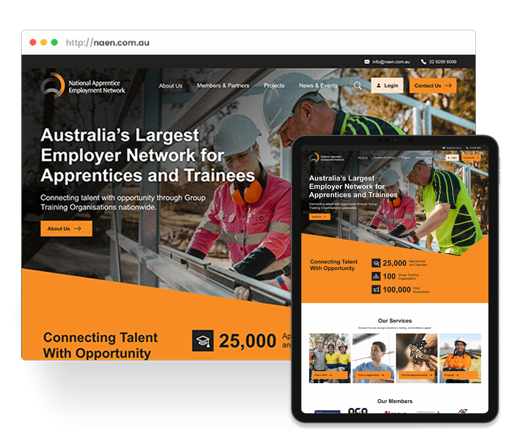 NAEN site after the redesign