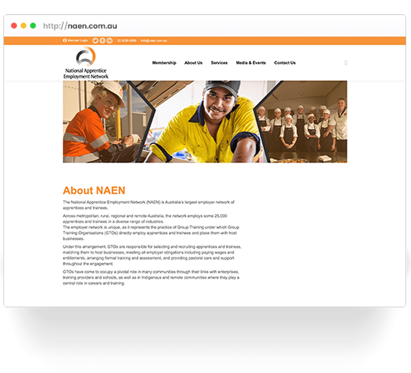 NAEN site before the redesign